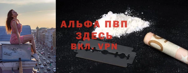 гидра Алексеевка